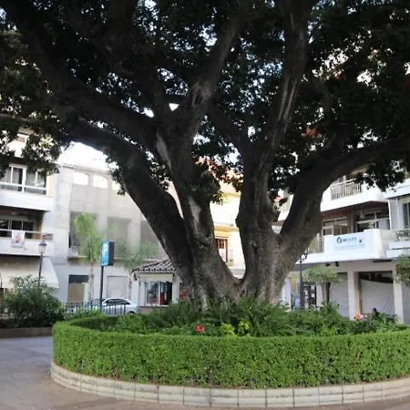 Centro Y Playa